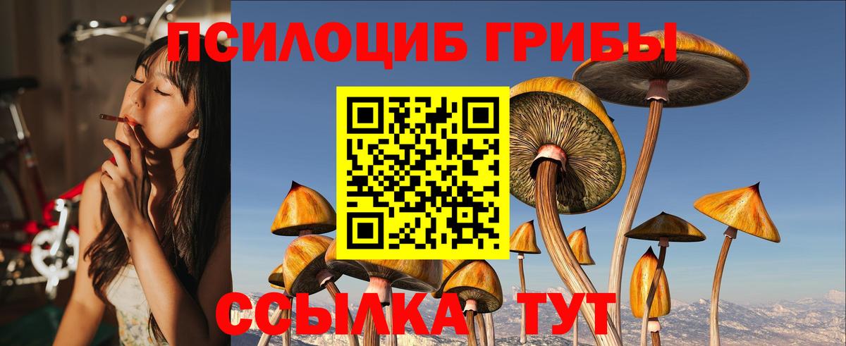 Псилоцибиновые грибы MAGIC MUSHROOMS  Вход с VPN  Зеленокумск 